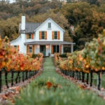 The Best High-ROI Remodels for Beverly Hills Homes This Fall